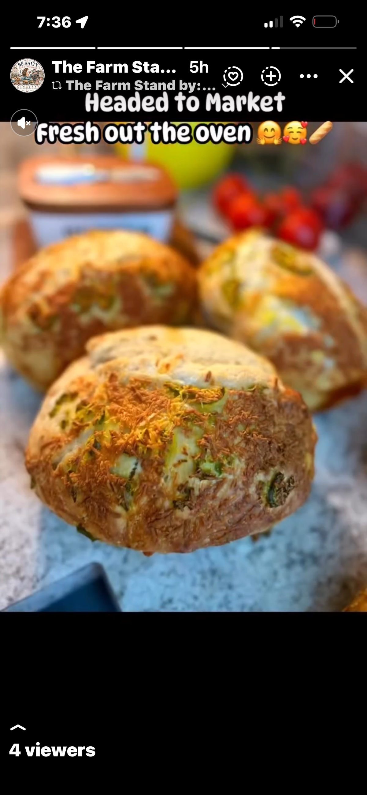 Jalapeño Cheddar Dourdough