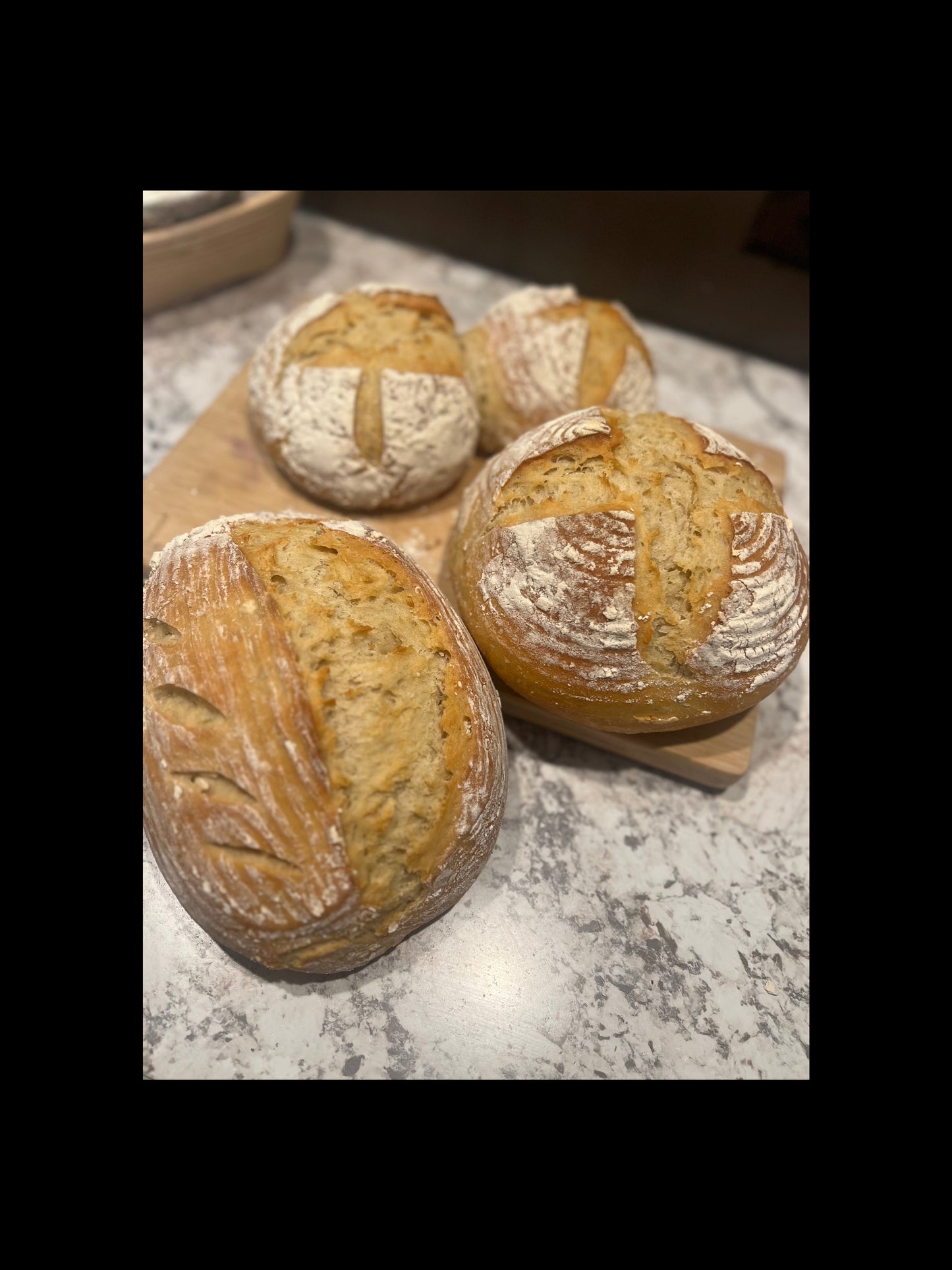 Regular Sourdough - Bread