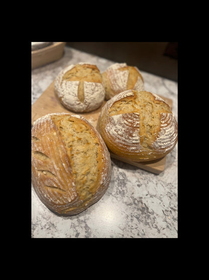 Regular Sourdough - Bread