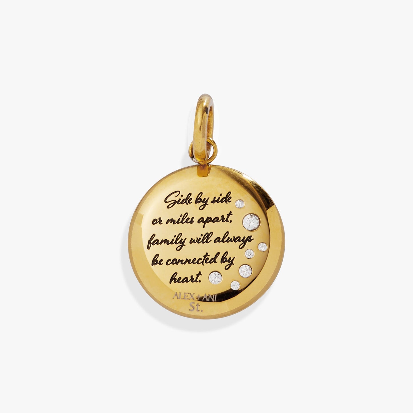 Sister Dragonfly Disc Charm