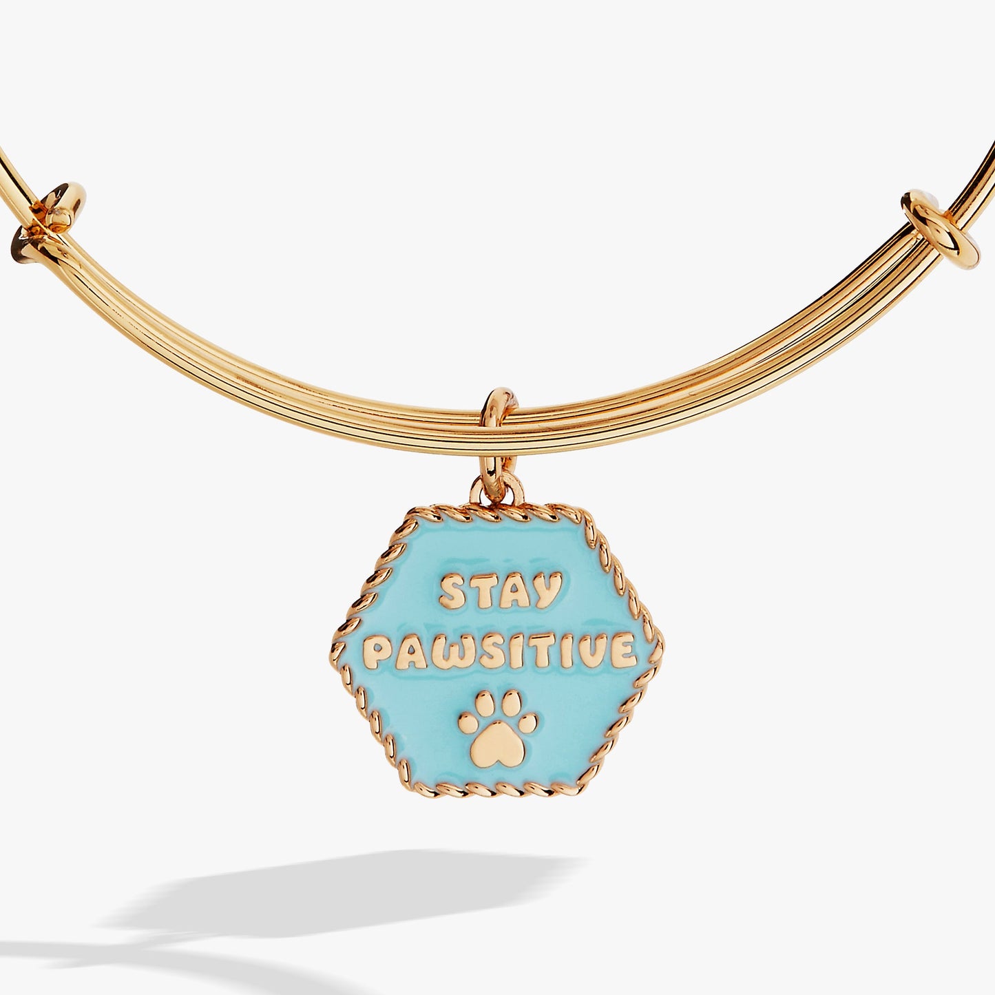 Dog 'Stay Pawsitive' Bangle